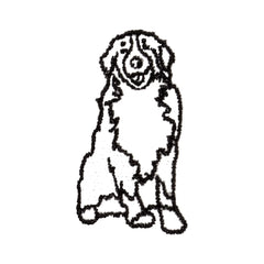 Bernese Mountain Dog Icon