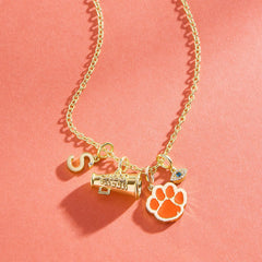 Clemson University Cluster Charm - Clemson University