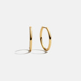 Verbena 18K Gold Earrings - 15MM