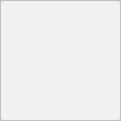 Blank Icon