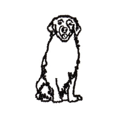 Golden Retreiver Icon